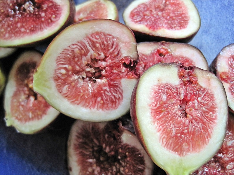 Allotment Heaven Fig (Ficus)